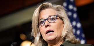 George W. Bush Announces He's Going to Fundraise for Liz Cheney