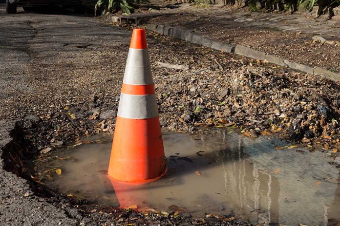 Man Plants Tree in Road After Pothole Frustrations