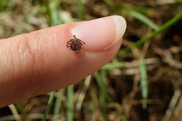 Lone Star Tick Carrying Heartland Virus Found in Georgia