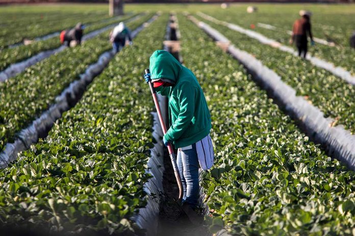 Ukrainian Farmers Take Fight to Russian Soldiers