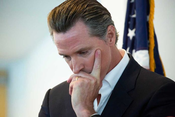 Gavin Newsom Under Fire After Asking Residents Not to Charge Electric Vehicles