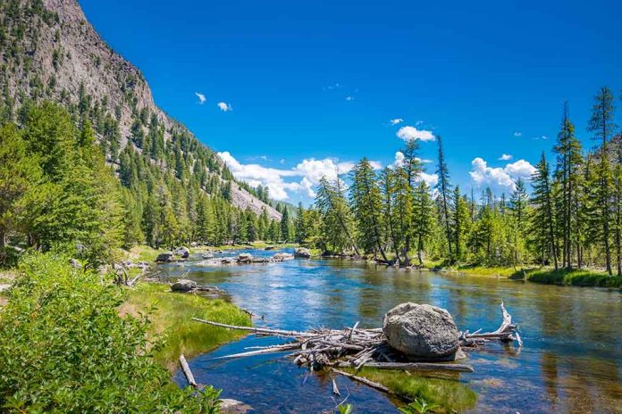 National Parks Ask Visitors Not To Lick Toads