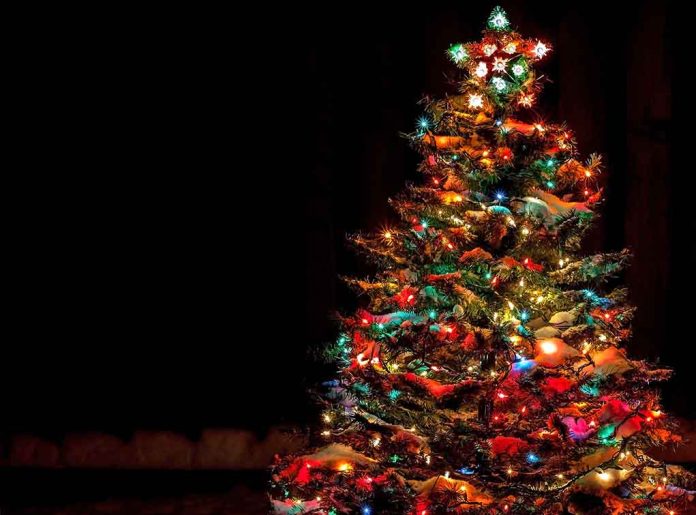 Citizens Reverse Christmas Tree Ban in Massachusetts Town