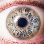 Controversial Identification Scans Temporarily Banned Overseas