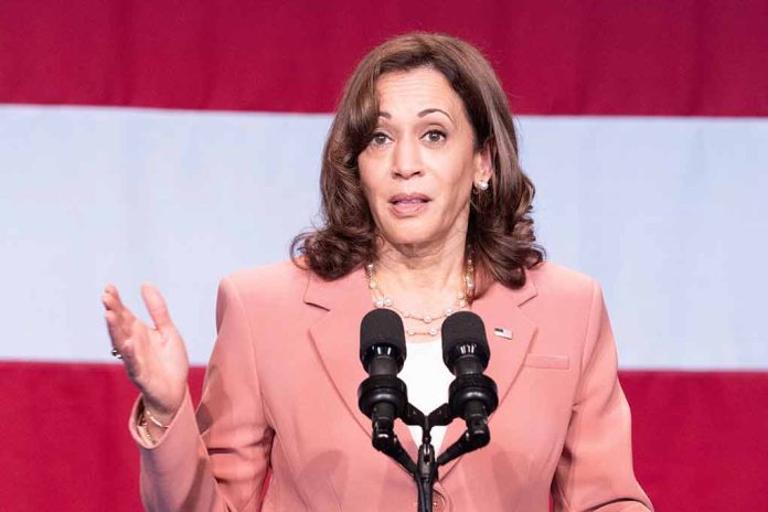 Ex-CNN Host Stunned As Voters Slam Kamala Harris