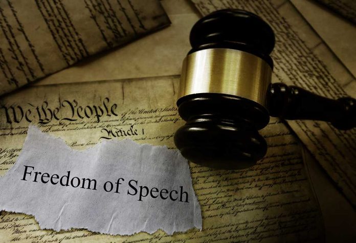 First Amendment, Free Speech