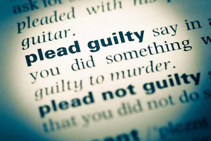 Plead guilty