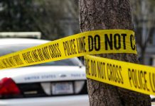 Police tape surrounding a tree and police car.