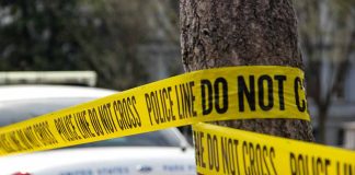 Police tape surrounding a tree and police car.