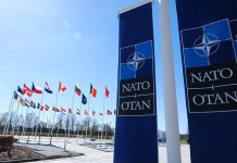 NATO flags and banners under clear sky.