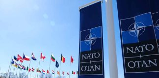 NATO flags and banners under clear sky.