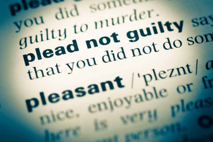 plead not guilty definition in a dictionary