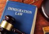 Blue immigration law book with wooden gavel.