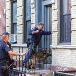 Police officers and dog entering a building doorway