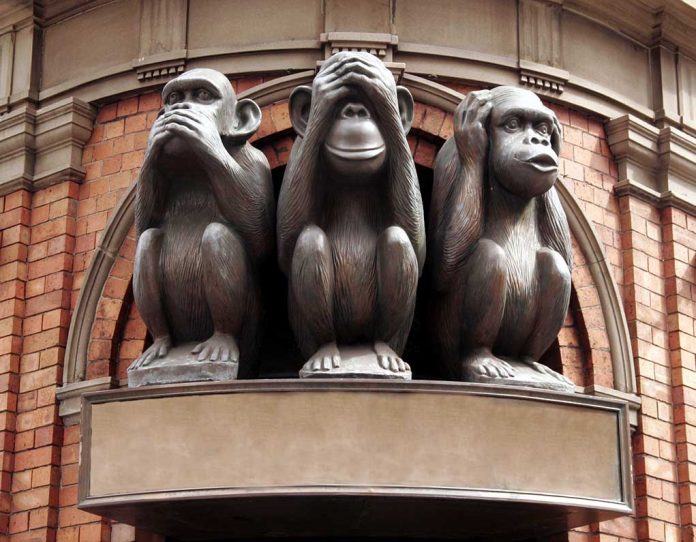 2749281 featured image Monkeys