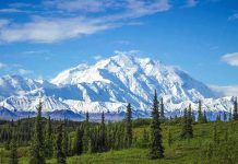 Snow covered mountain under blue sky with green foreground