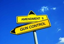 Yellow signs reading Amendment II and Gun Control