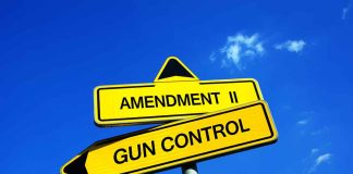 Yellow signs reading Amendment II and Gun Control