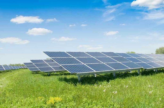 1909802176. Solar panels in a grassy field under blue sky
