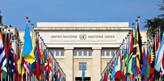 United Nations building with numerous national flags outside