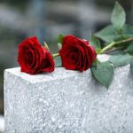 Two red roses on a grave