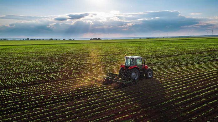 436506028 Tractor plowing a vast green field at sunset.