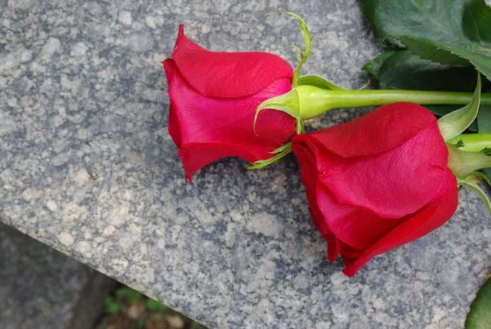 Two red roses resting on a stone surface