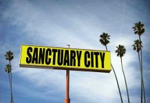 ICE IGNORES Sanctuary Laws Sanctuary City sign with palm trees and sky.