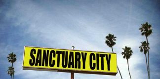 Sanctuary City sign with palm trees and sky.