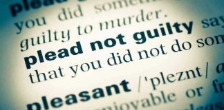 plead not guilty highlighted in a dictionary.