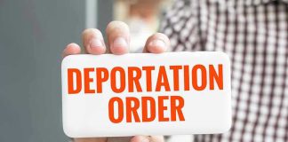 Hand holding sign with Deportation Order text.