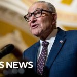 Mask Ban Fight Ignites Shutdown Deadline Senate Democrats make demands for ICE reform to prevent