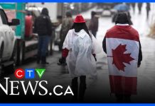 Use of Emergencies Act in 2022 during protests was