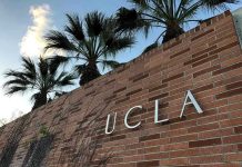 Race-Based Grading Fight Explodes At UCLA Brick wall with UCLA lettering and palm trees.