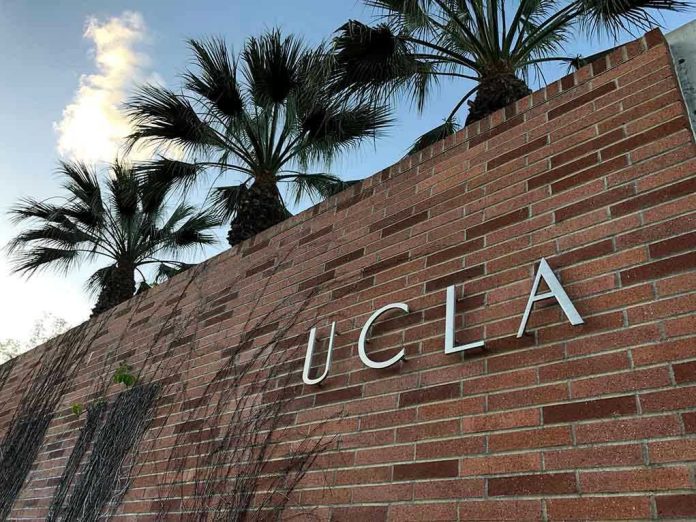 Brick wall with UCLA lettering and palm trees.