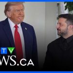 Zelenskyy 'has a lot to lose' from peace meting with Trump