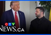 Zelenskyy 'has a lot to lose' from peace meting with Trump