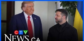 Zelenskyy 'has a lot to lose' from peace meting with Trump