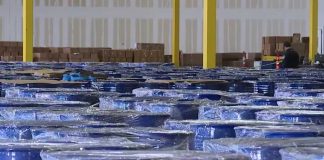 107,000 Liters Seized—Cartels Still Rolling