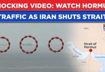 Hormuz Panic FREEZES Global Shipping