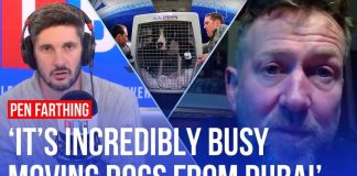 Missile Panic Triggers MASS Pet Slaughter in Dubai