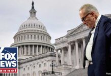 Senator's Disney Escape Sparks Outrage During Shutdown