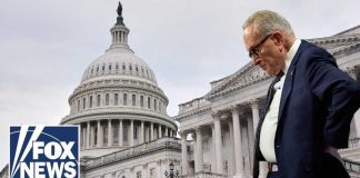 Senator’s Disney Escape Sparks Outrage During Shutdown Senator's Disney Escape Sparks Outrage During Shutdown