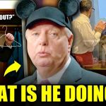 Viral Disney Photo Splits MAGA