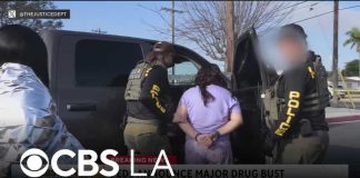 MacArthur Park Drug Ring CRUSHED Forever