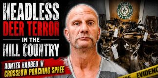 Headless Deer Horror Strikes Texas Headless Deer Terror: Man nabbed in crossbow poaching spree
