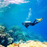 A scuba diver exploring a vibrant coral reef underwater