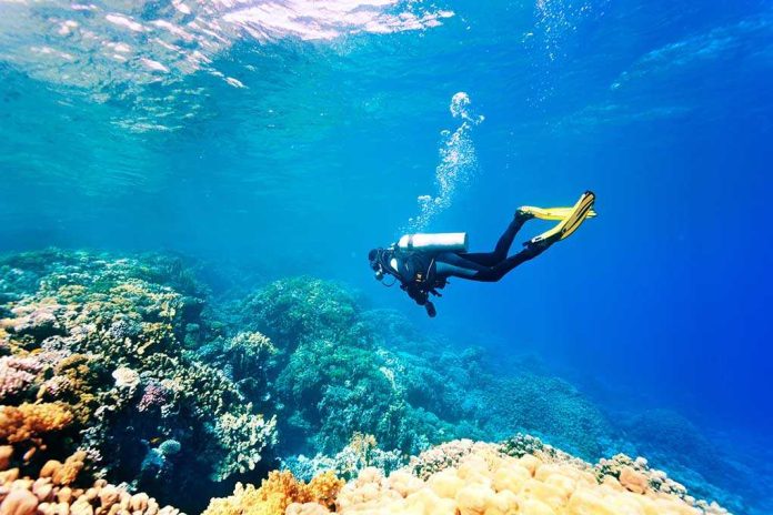 shutterstock_177442700 A scuba diver exploring a vibrant coral reef underwater