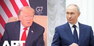Land-for-Peace Twist Stirs Europe 'Russia Should Make A Deal With Ukraine', Trump Says After Appearing To Snub Zelensky At G7 | APT