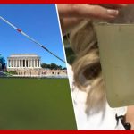 Interior dept says Reflecting Pool is 'crystal clear'